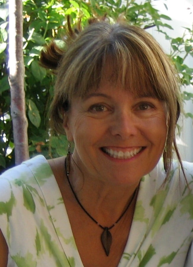 Author Sally McBride