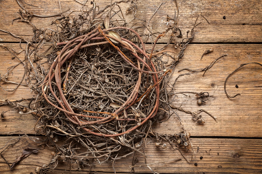 Empty Nest